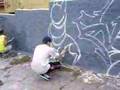 Graffiti E.Vegetal