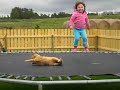 Кошак на батуте с безумным ребенком.