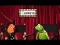 Kermit's YouTube Survey
