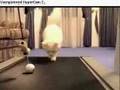 Ok Go - Treadmill LOLCatz