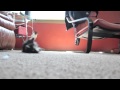 This is Taz.