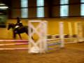 videos de MSRC Sands Farm Show Jumping 75-80cm Marmite Nov 2008 2 Phas