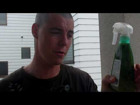 how to treat powdery mildew on zucchini plants