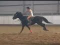 Another Hot Girl Bikini Barrel Racing