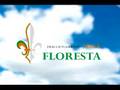 Correccion Fracc VILLA FLORESTA
