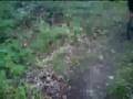 motoscotch:  Underdown mountain bike