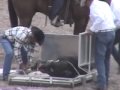 Cheyenne Rodeo Announcer Caught Lying About Calf Injuries