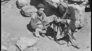 لقطات من قرية الظاهرية . فلسطين 1947 م .