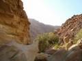 Trip to Wadi Hasa, Jordan