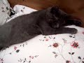 Another Burnsy Vid from the vault! Another Burnsy Vid from the vault!