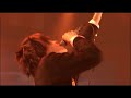 plastic-tree-baria-live.html