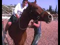 Fat Kid Falling Off A Horse Fat Kid Falling Off A Horse