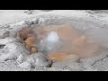 50 pound death crab 4 x 4