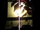 my begonia flowering plant
