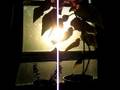 my begonia flowering plant
