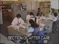 Kyosho Center In Japan