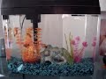 Mickey Mouse Platys