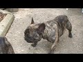 Amenda und Atti zu Besuch