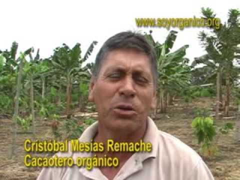 Imagen de previsualización de YouTube