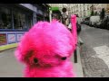 C�cile � Montmartre ?