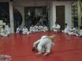 Hapkido Charnel And Jasmeet Match