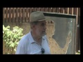 Exposicion Cuando la juventud lucha por la justicia.avi