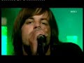 Null$katte$nylterne - Instinkt live