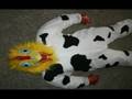 The-Chicken-Cow