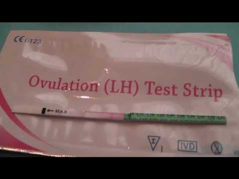 how to read lh test strips