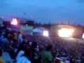 jaguares 