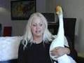 Pet Goose
