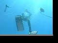 Stephens Passage Spearfishing Trip Stephens Passage Spearfishing Trip