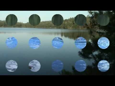 how to dissolve bsa in water