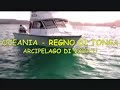 video : nell'arcipelago di vava'u - regno di tonga- si puo' nuotare con la balene megattere da maggio a novembre- humpback whales
