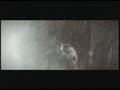 aviv gefen - for you