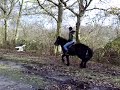 Maartje op Sj�fn de ijslander!!!