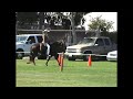 KLP Sedona - Peruvian Mare