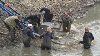 Tradiční výlov Křemačáku