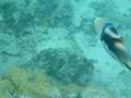 はての浜の海1