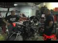 videos de WORLD FAMOUS SPIDER-BIKE FOR SALE!!!