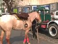 urban gauchos at mataderos