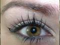 FRESH SCHOOL MAKEUP look using Stila neutral shades