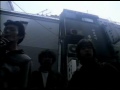 FEVER - Triceratops
