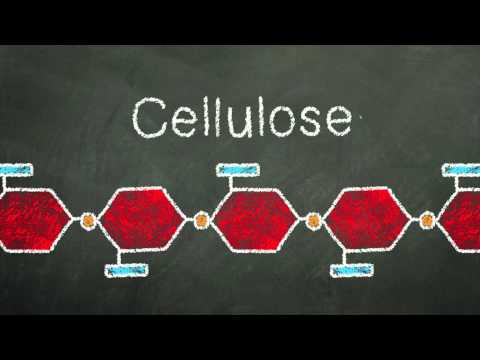 Polymers – Chalk Talk