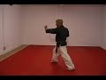 CASA DE KENPO - AMERICAN KENPO - SHORT FORM 3