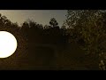 Fairy Anim 1.0 Orange Music.avi