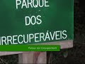 animais selvagens
