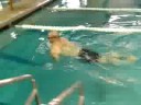 Breaststroke