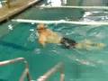 Breaststroke