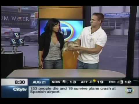 Watch 'Reptiles & Snakes On Citytv's Breakfast TV 1/2'
